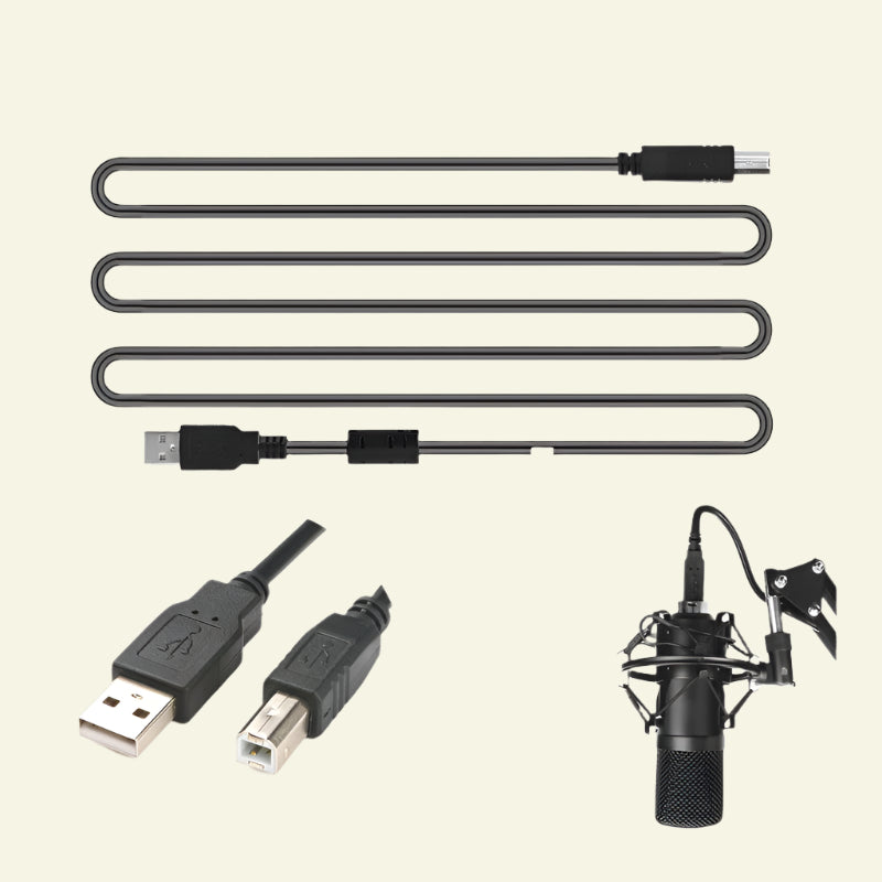 Microphone Set - high-quality 24-bit, 192KHz Sampling Accuracy.