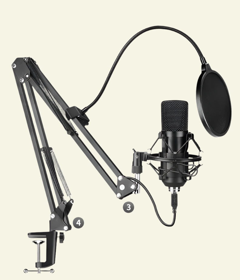 Microphone Set - high-quality 24-bit, 192KHz Sampling Accuracy.