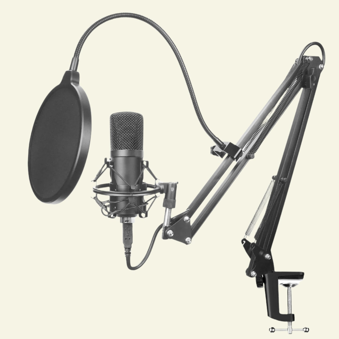 Microphone Set - high-quality 24-bit, 192KHz Sampling Accuracy.