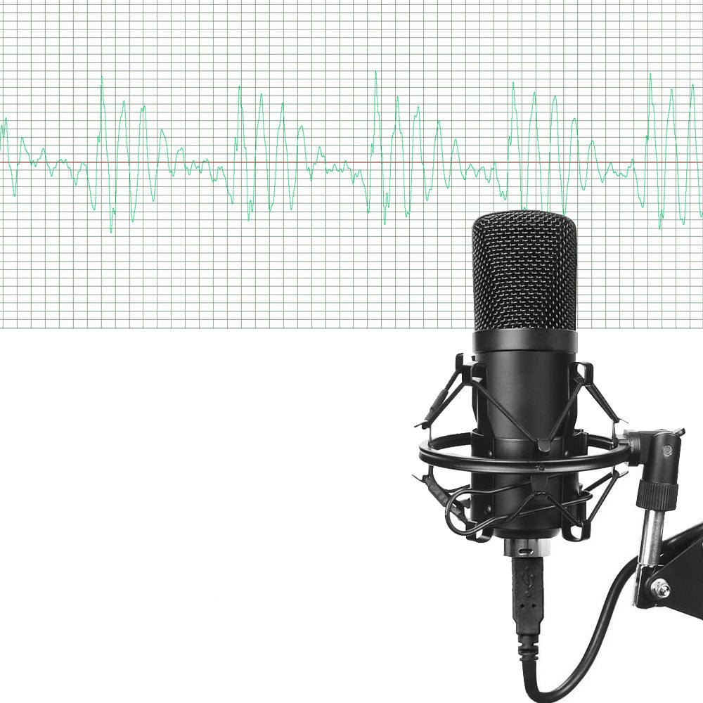 Microphone Set - high-quality 24-bit, 192KHz Sampling Accuracy.