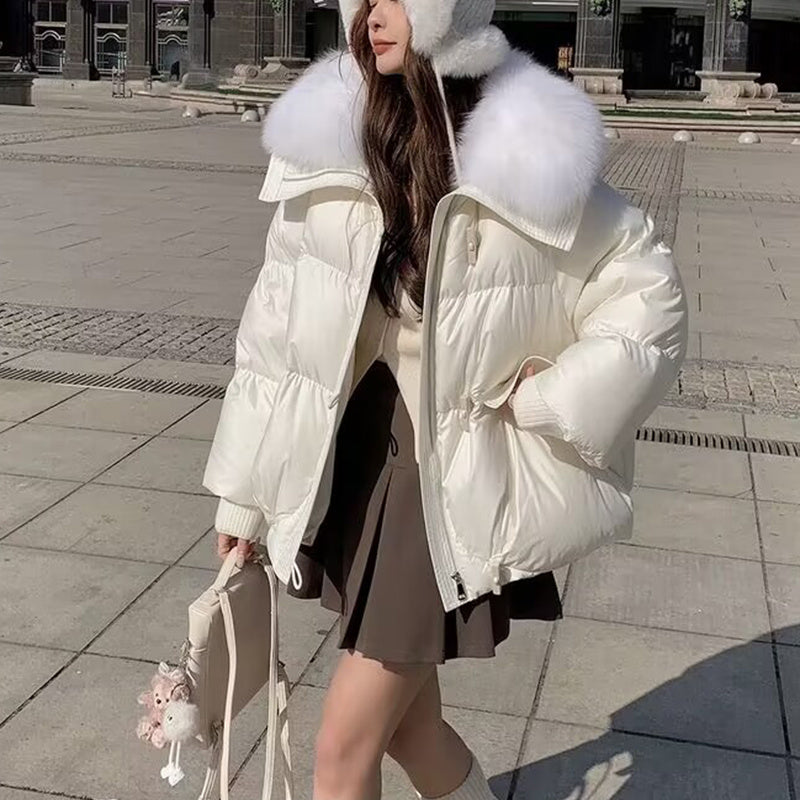 Women's Short Down Cotton-Padded Jacket – Fur Collar Thickened Winter Coat - Prime