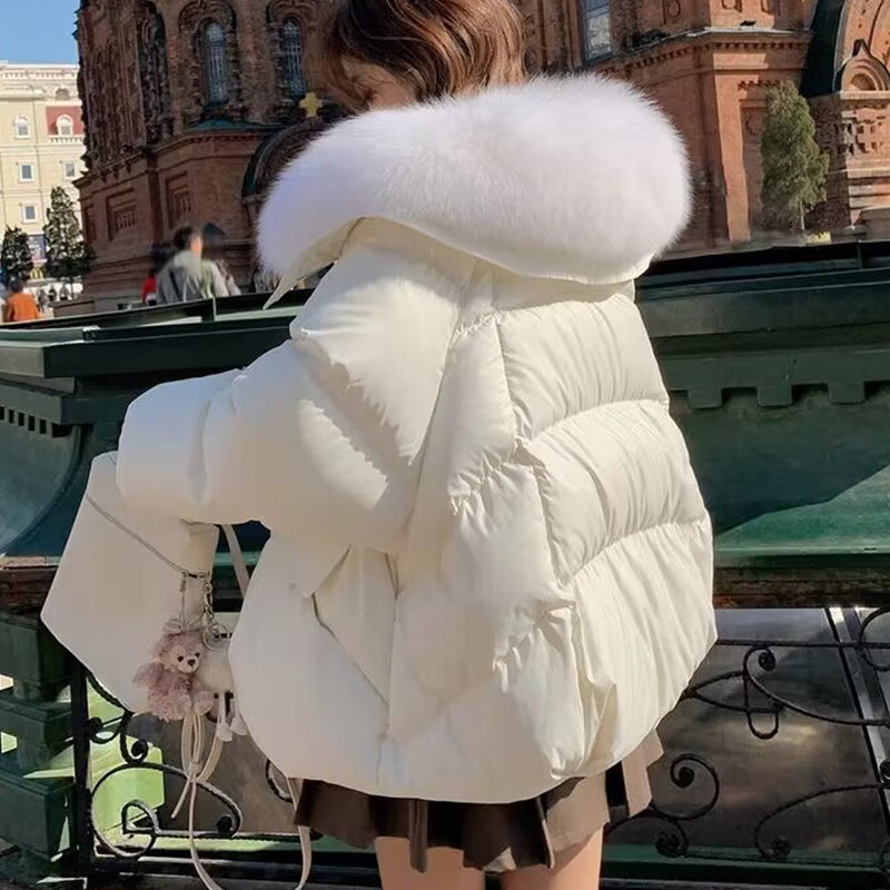 Women's Short Down Cotton-Padded Jacket – Fur Collar Thickened Winter Coat - Prime